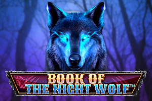 Book Of The Night Wolf