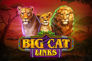 Big Cat Links