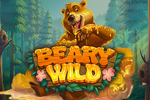 Beary Wild