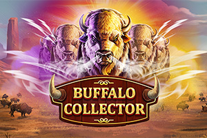 Buffalo Collector by Red Tiger