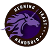 Herning-Ikast Haandbold