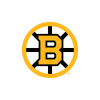 Boston Bruins
