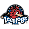 Rockford Icehogs